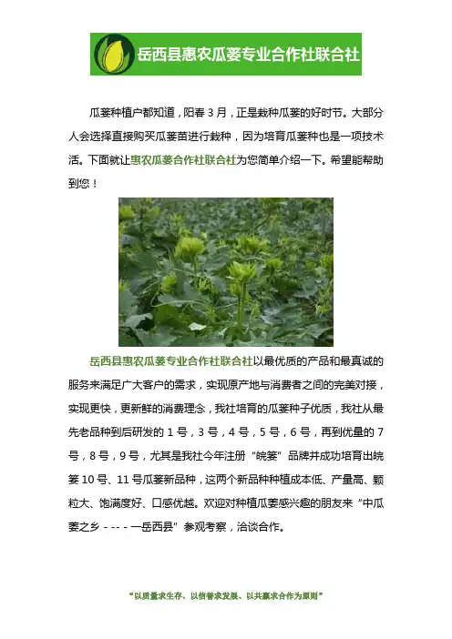 瓜蒌几号种苗产量高