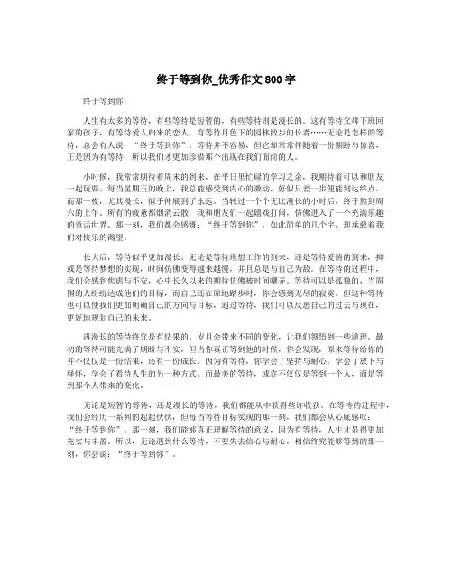 终于等到你_优秀作文800字