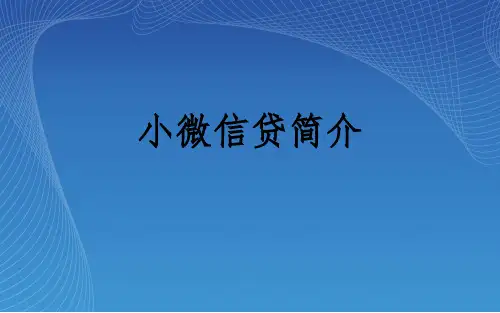 小微信贷简介