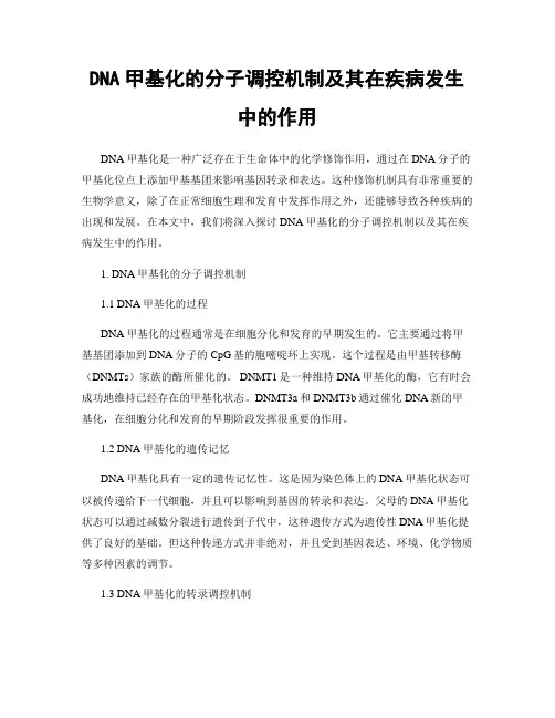 DNA甲基化的分子调控机制及其在疾病发生中的作用