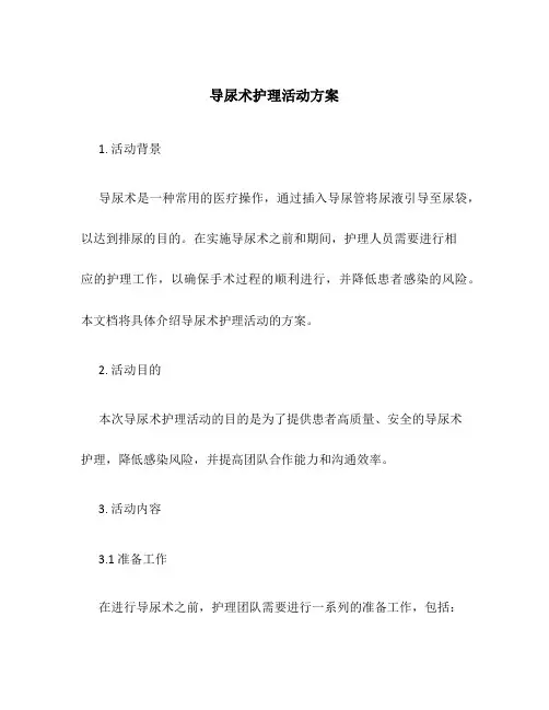 导尿术护理活动方案
