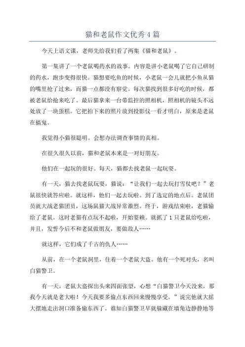 猫和老鼠作文优秀4篇