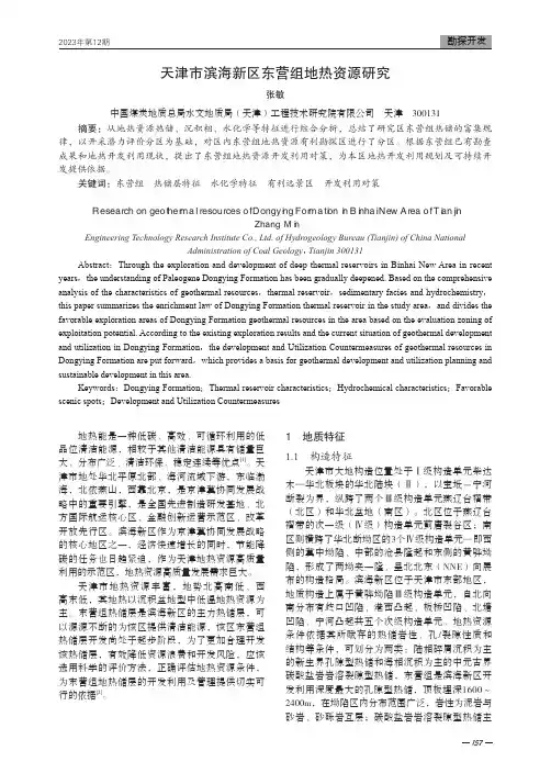天津市滨海新区东营组地热资源研究