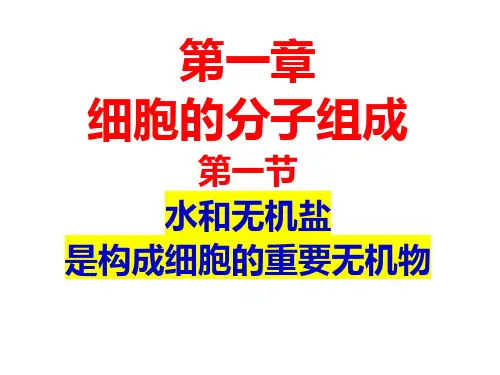 浙科新版高中生物必修1(新课课件)：水和无机盐