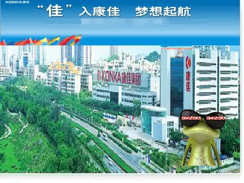 康佳集团财务报表分析案例报告(定稿)