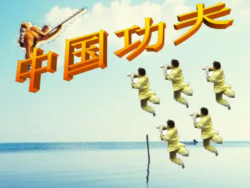 中国功夫PPT课件