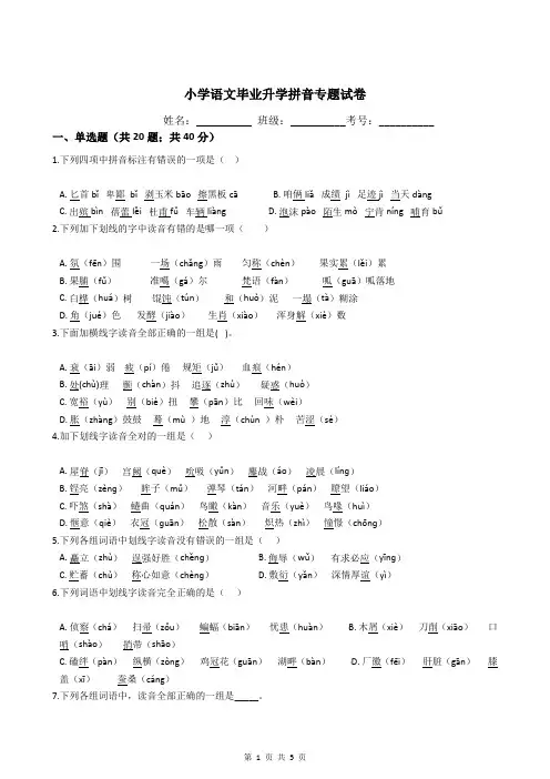小学语文毕业升学拼音专题试卷