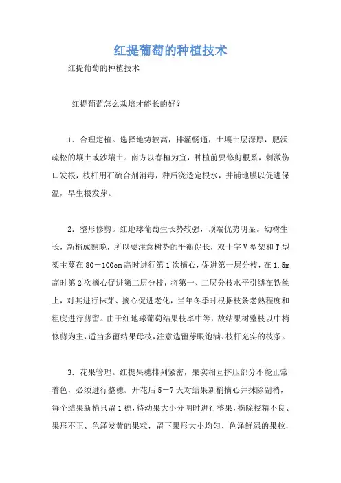 红提葡萄的种植技术