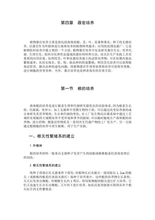 第四章  器官培养