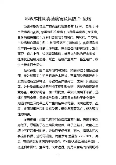 彩椒成株期真菌病害及其防治疫病