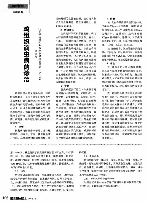 鸡组织滴虫病的诊治