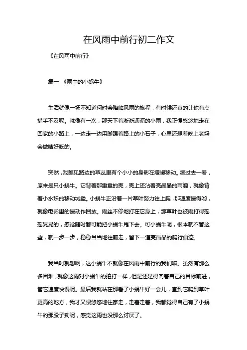 在风雨中前行初二作文