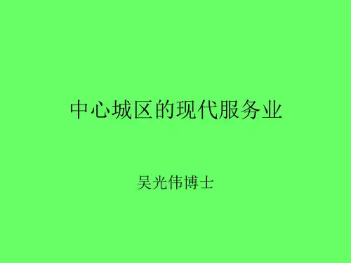 中心城区的现代服务业(ppt 56页)