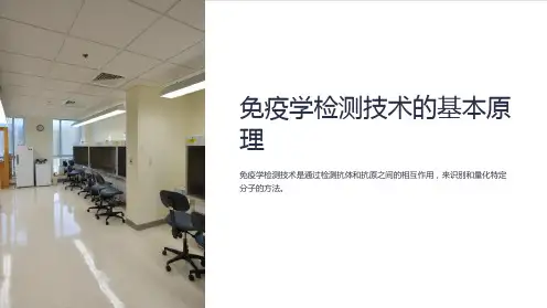 免疫学检测技术的基本原理
