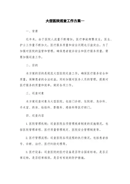 大型医院巡查工作方案—