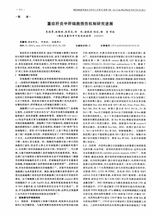 重症肝炎中肝细胞损伤机制研究进展