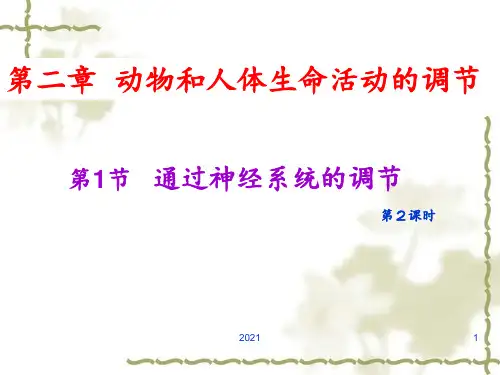 神经细胞间信号传递(完整)PPT课件