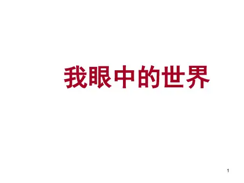 我眼中的世界PPT课件