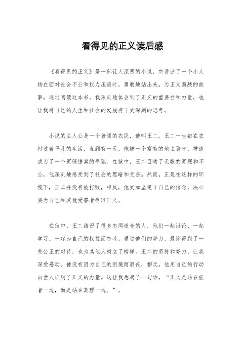 看得见的正义读后感