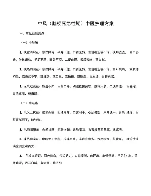 中医护理方案