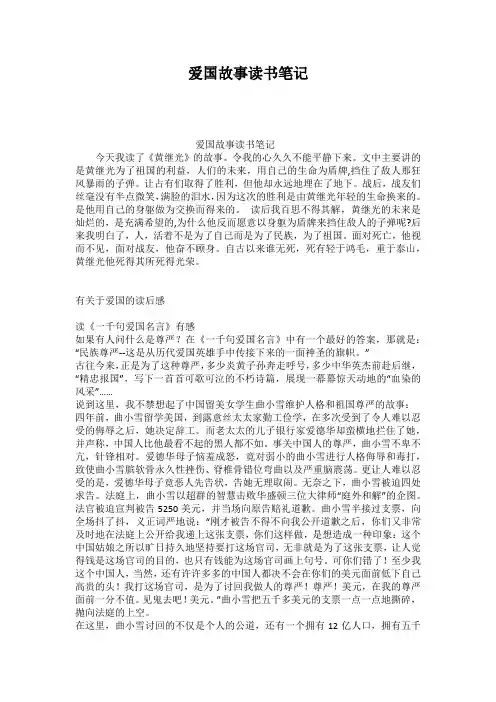 爱国故事读书笔记