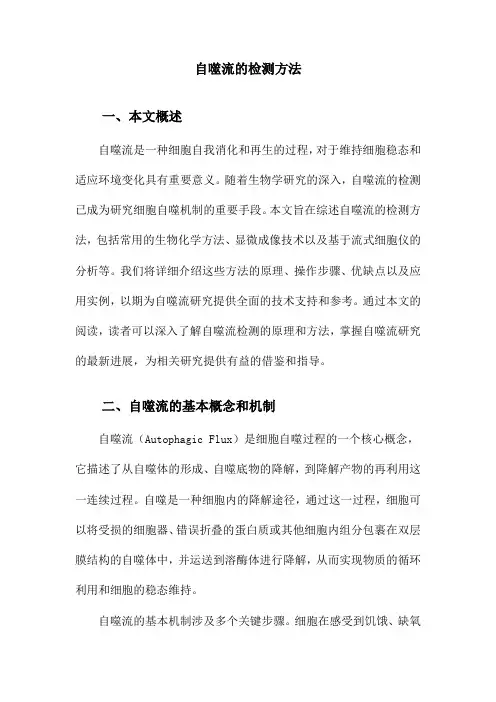 自噬流的检测方法