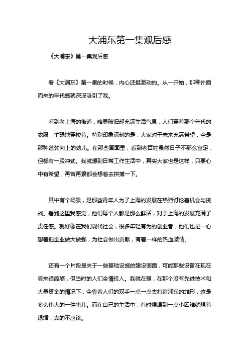 大浦东第一集观后感