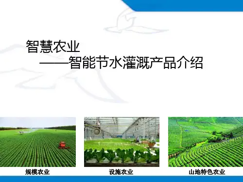 现代农业智能灌溉系统可修改全文