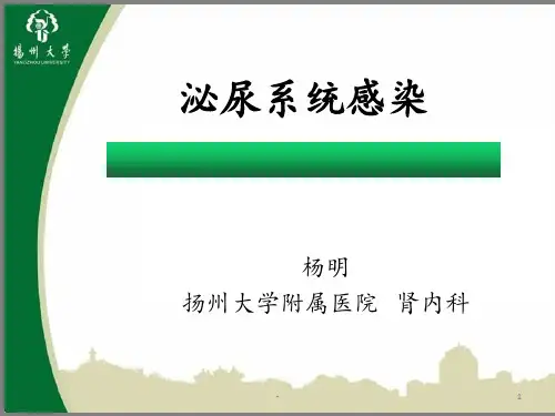 泌尿系统感染PPT课件