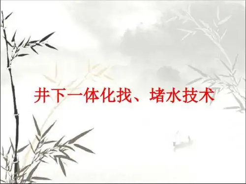 井下一体化找堵水技术 PPT