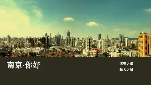 介绍南京ppt宣讲精美版