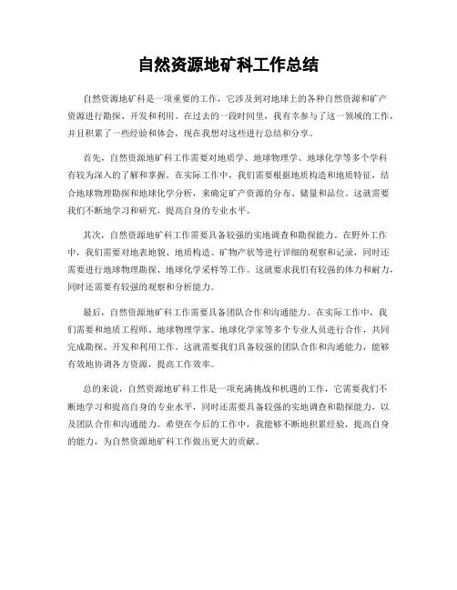 自然资源地矿科工作总结