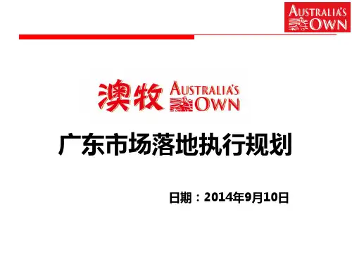 某省市场落地执行规划课件(PPT 54页)