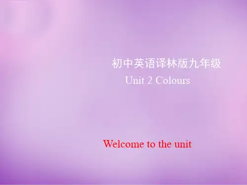 牛津译林版九年级英语上册Unit2课件