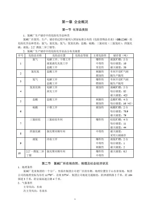 某化工企业安全评价报告