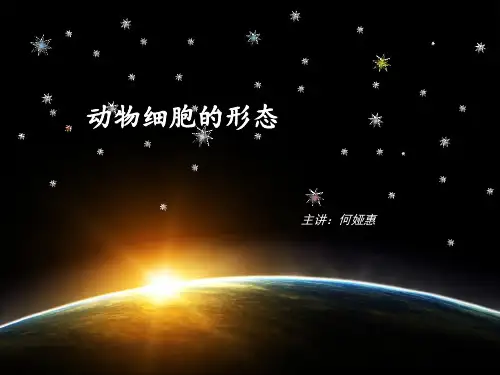 动物细胞形态资料