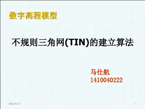 不规则三角网(TIN)的建立
