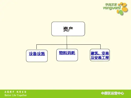 资产分类-PPT精选文档