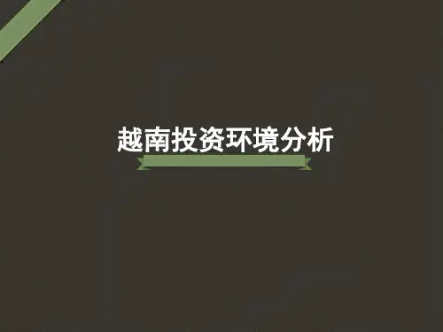 越南投资环境及风险分析(全面)