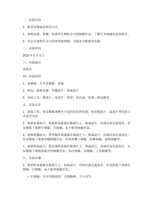 形态学实训实验报告