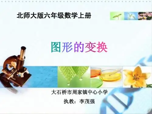 北师大版六年级上册 图形的变换