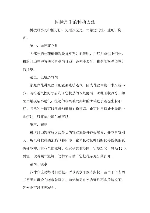 树状月季的种植方法