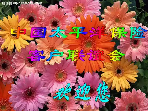 保险公司 产说会PPT课件