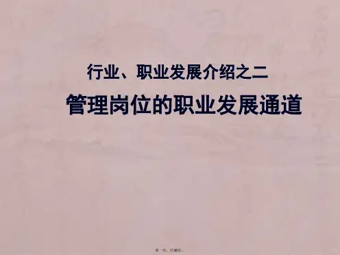 第五讲-职业发展通道讲义李绍海