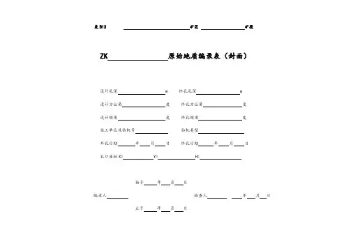 钻孔编录表格(全)