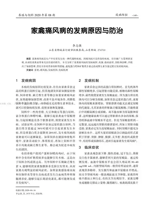 家禽痛风病的发病原因与防治