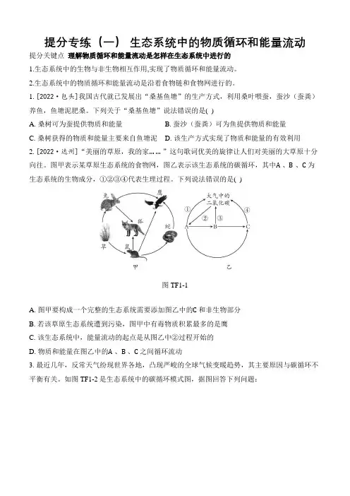 【人教2023中考生物二轮复习 专题突破】提分专练1 生态系统中的物质循环和能量流动(附解析)