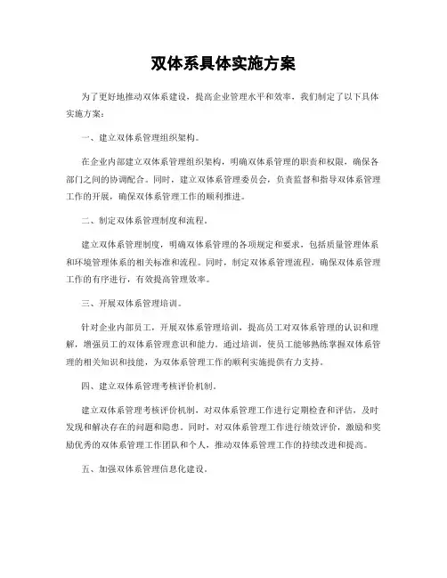 双体系具体实施方案
