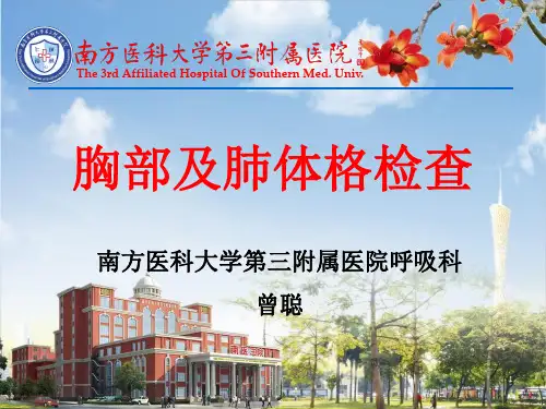 肺体格检查PPT课件
