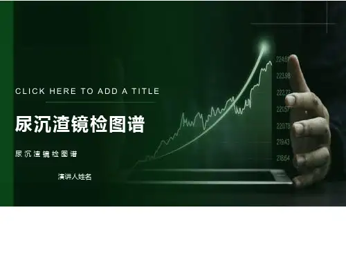 尿沉渣镜检图谱